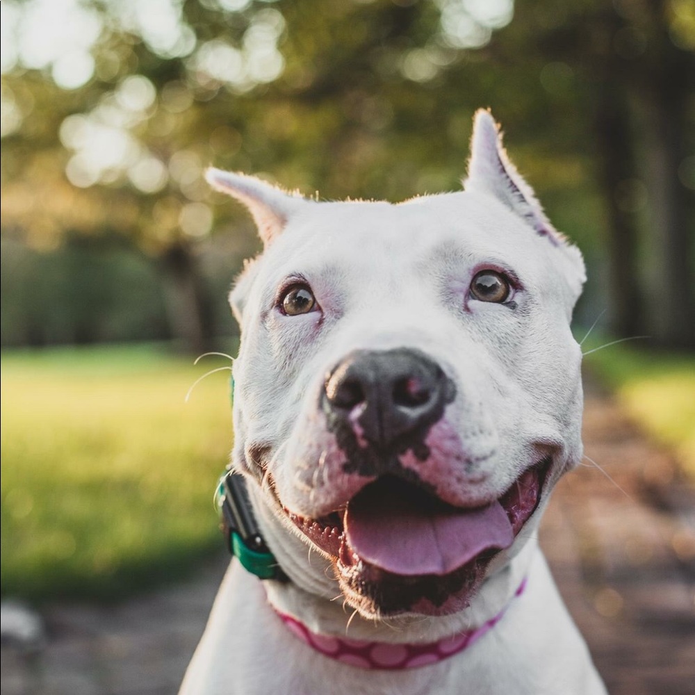 Meet your Posher, Loren